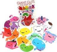 🧠 giant guts sticker set - "i heart guts" featuring 15 organs and friends logo