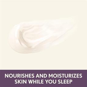 img 1 attached to 🍇 Aveeno Absolutely Ageless Restorative Night Cream – Blackberry Complex, Vitamin C & E, Hypoallergenic, Non-Greasy Moisturizer for Face & Neck, 1.7 fl. oz