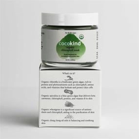 img 1 attached to 🌿 Cocokind Chlorophyll Mask - 2 oz/56.8 g - Certified Organic