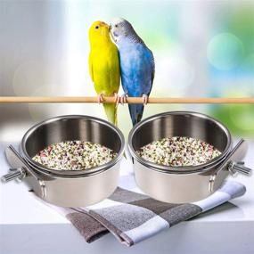 img 4 attached to 🦜 Parrot Feeder Set - Bird Feeding Dish Cups, Bird Bowl, Food & Water Bowls for Bird Cage, Small Animal Feeding Coop Cups - Suitable for Parakeet, African Greys, Conure, Cockatiels