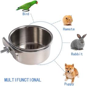 img 3 attached to 🦜 Parrot Feeder Set - Bird Feeding Dish Cups, Bird Bowl, Food & Water Bowls for Bird Cage, Small Animal Feeding Coop Cups - Suitable for Parakeet, African Greys, Conure, Cockatiels