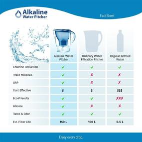 img 1 attached to The Alkaline Water Pitcher - 3.5L, Free Filter & 7-Stage Filtration for pH Increase & Purification