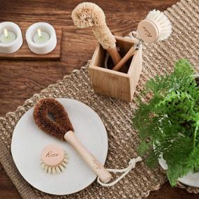 img 1 attached to 🌱 Eco-Friendly Wooden Kitchen Cleaning Brush Set | Ideal for Dishes, Pots & Pans | Includes Wooden Dish Brush, Pot Brush, and Bottle Cleaner | Made with Beech Wood & Natural Bristles