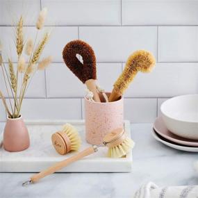 img 3 attached to 🌱 Eco-Friendly Wooden Kitchen Cleaning Brush Set | Ideal for Dishes, Pots & Pans | Includes Wooden Dish Brush, Pot Brush, and Bottle Cleaner | Made with Beech Wood & Natural Bristles