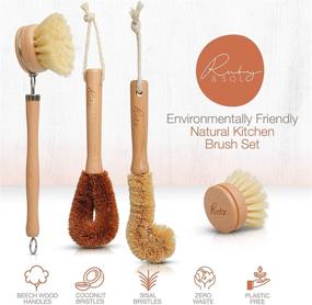 img 2 attached to 🌱 Eco-Friendly Wooden Kitchen Cleaning Brush Set | Ideal for Dishes, Pots & Pans | Includes Wooden Dish Brush, Pot Brush, and Bottle Cleaner | Made with Beech Wood & Natural Bristles