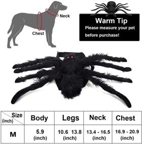 img 2 attached to 🕷️ Changeary Halloween Cats Dogs Costume: Dog Spider Costume for Festive Dress-up and Accessorizing - Perfect for Cats, Small and Large Dogs to Transform into Black and Red Giant Spiders