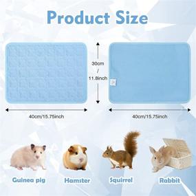 img 3 attached to Washable Chinchillas Squirrel Hedgehog 12X16Inch