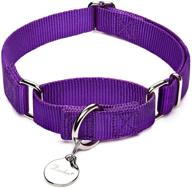 dazzber dog collar martingale: heavy-duty nylon no pull pet collar for medium and large dogs logo