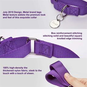 img 2 attached to Dazzber Dog Collar Martingale: Heavy-Duty Nylon No Pull Pet Collar for Medium and Large Dogs