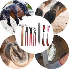 img 1 attached to 🐴 CDIYTOOL 4Pcs Horse Farrier Hoof Trimmer Kit: 16 inch Horseshoe Pliers, Nipper, Rasp, and Hoof Cutter Knife Set with Horse Hoof Pick Brush - For Horses, Cattle, Sheep, and Donkeys