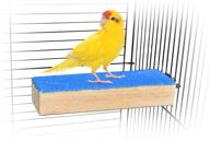 🐦 all-natural pet bird cage perch stand - for beak and foot grinding - ideal for parakeets, cockatiels, canaries, finches, conures, lories, budgies - also suitable for hamsters and gerbils logo