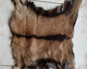 img 2 attached to Antelope Sheepskin Leather Clothing Accessories