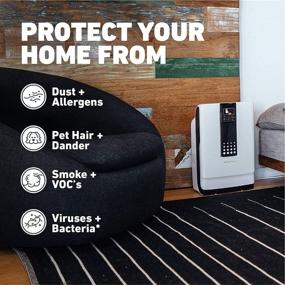 img 2 attached to 🌬️ HATHASPACE HSP001 Air Purifier: True HEPA Filter for Clean Air, Smoke, Pets, and Allergens - 700 Sq. Ft. Coverage