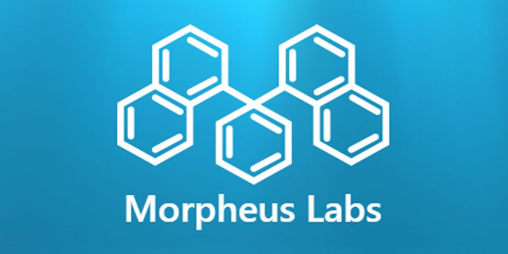 img 1 attached to Morpheus Labs review by Barış D
