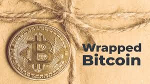 img 1 adjunta a la reseña de Wrapped Bitcoin de Toprak Dere