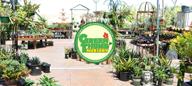 img 1 attached to Green Thumb Nursery review by İlqar Agayev