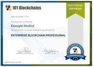 img 1 attached to 101 Blockchain Course review by Benaiah A. Akinlade