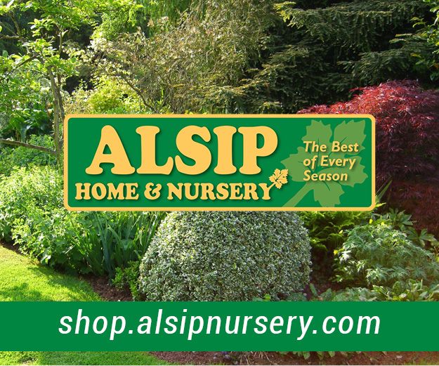 img 1 attached to Alsip Home & Nursery review by İlqar Agayev