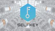 img 1 attached to Selfkey review by Toprak Dere