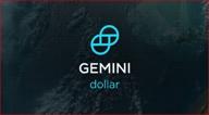 img 1 attached to Gemini Dollar review by Özgün A