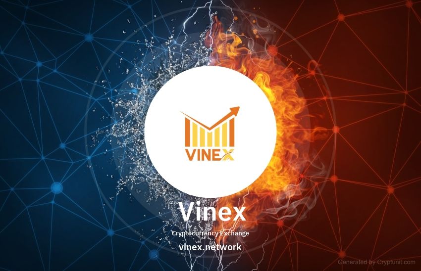 img 1 attached to VINEX Network review by Bedava Kripto