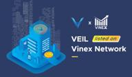 img 3 attached to VINEX Network review by Bedava Kripto