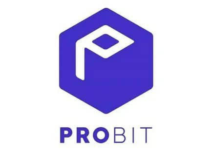 Barış DによるProBit Exchangeレビューに添付されたimg 1