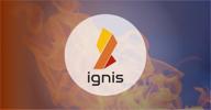 img 2 attached to Ignis review by Ferhat Tunç