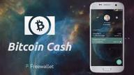 img 1 attached to Bitcoin Cash Freewallet review by Hasan Abbas