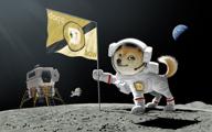 img 1 attached to Dogecoin review by JUST AXEN