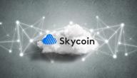 img 1 attached to Skycoin review by Toprak Dere