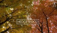 img 1 attached to Hedgewood review by Douglas Cachazo