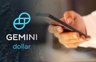 img 1 attached to Gemini Dollar review by phuong cong