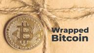 картинка 1 прикреплена к отзыву Wrapped Bitcoin от Umut ERDOGAN
