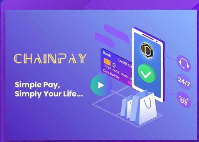 img 1 attached to Chainpay review by Denis Kulibin