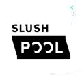 img 1 attached to Slush Pool review by gregori cordova