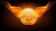 img 1 attached to Bitcoin review by Mehmet Bağ