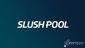 img 1 attached to Slush Pool review by adem usta