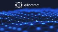 img 1 attached to Elrond review by Toprak Dere