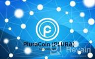 img 2 attached to PluraCoin review by Celebe Kayabegli