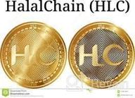 img 3 attached to HalalChain review by Cary Owezow
