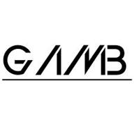img 1 attached to GAMB review by Bayram annayev