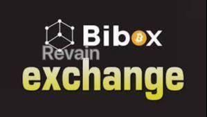 img 3 attached to Bibox review by Ruya Karaca