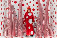 img 3 attached to Kusama review by Dovletgeldi Ordayev
