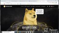 img 1 attached to Dogecoin review by Zangi Kazhila