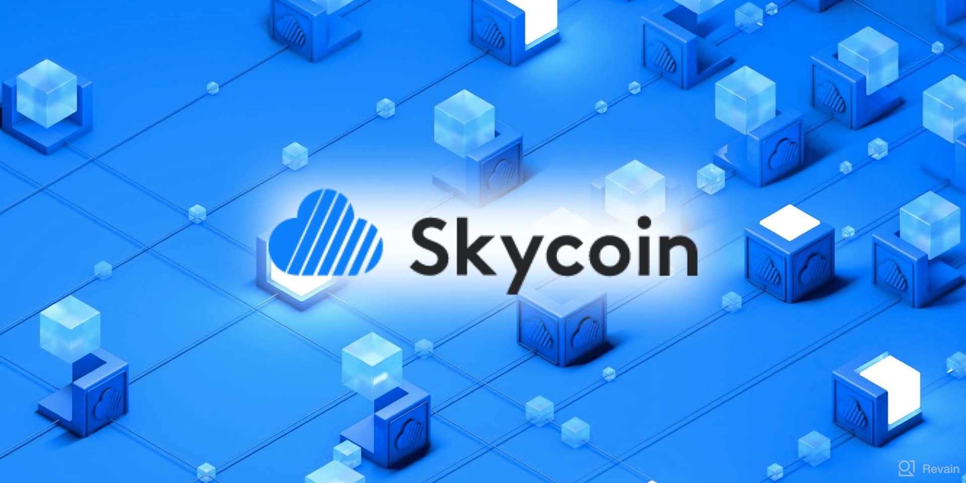 img 2 attached to Skycoin review by Ali Huseynov