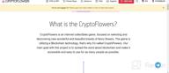 img 2 attached to CryptoFlowers review by Zangi Kazhila