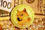 img 1 attached to Dogecoin review by Kenan Chalabi