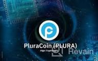 img 3 attached to PluraCoin review by Celebe Kayabegli