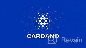 img 3 attached to Cardano review by Azad Aliyev